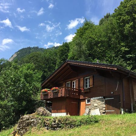 Chalet Julian Lütschenthal Zewnętrze zdjęcie